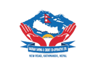 gemini generated image vfq35dvfq35dvfq3 removebg preview